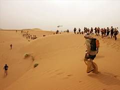 The Sand Marathon
