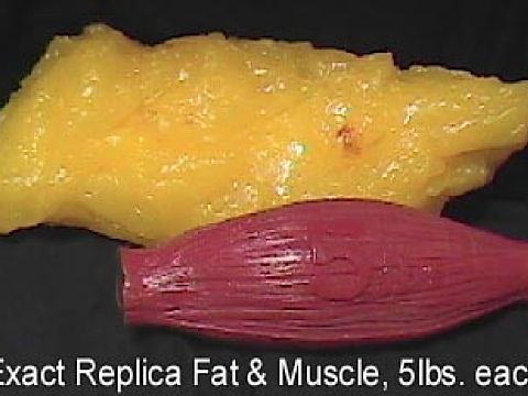 5lb of fat vs 5lb of muscle