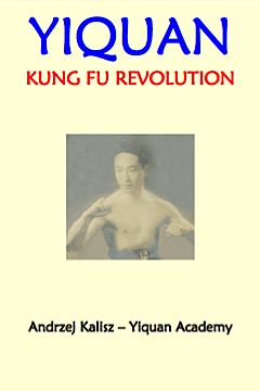Kung Fu Revolution