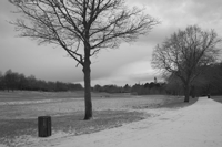 Snow in the park